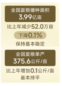 點(diǎn)擊放大