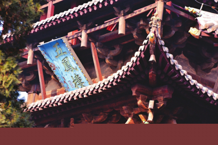 點(diǎn)擊放大